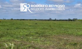 Lote  de 1.14 hectárea  – Zona Perucho Verna